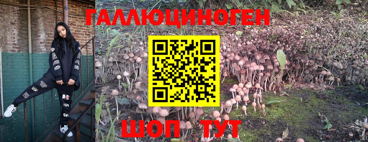наркота  Псилоцибиновые грибы Cubensis  Егорьевск  Вход с VPN  Галлюциногенные грибы ЛСД 