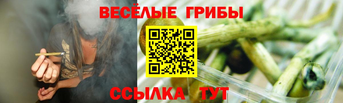 Галлюциногенные грибы прущие грибы Егорьевск